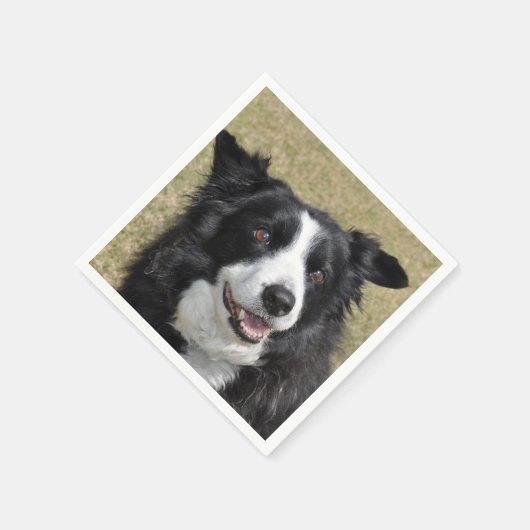 Rand collie servet (Hoek)