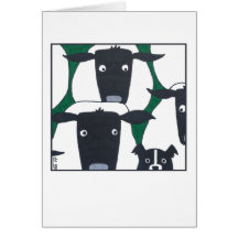 Rand Collie & Sheep Blank Card