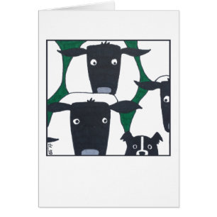 Rand Collie & Sheep Blank Card