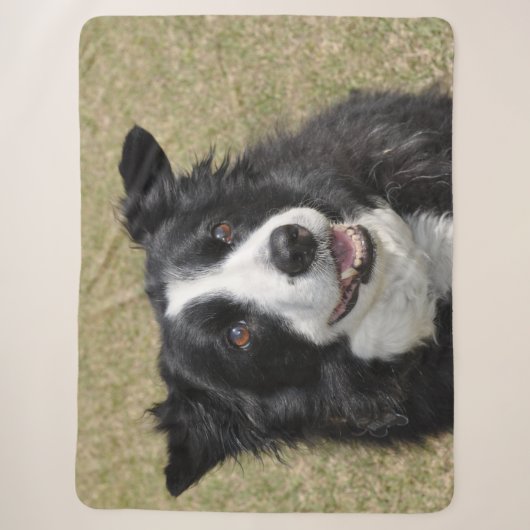 Rand collie sherpa deken (Voorkant)