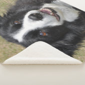 Rand collie sherpa deken (3/4)