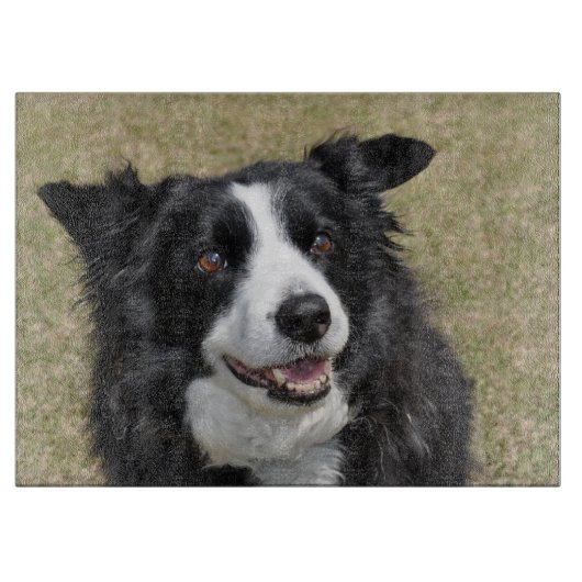 Rand collie snijplank (Voorkant)