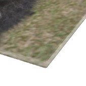 Rand collie snijplank (Hoek)