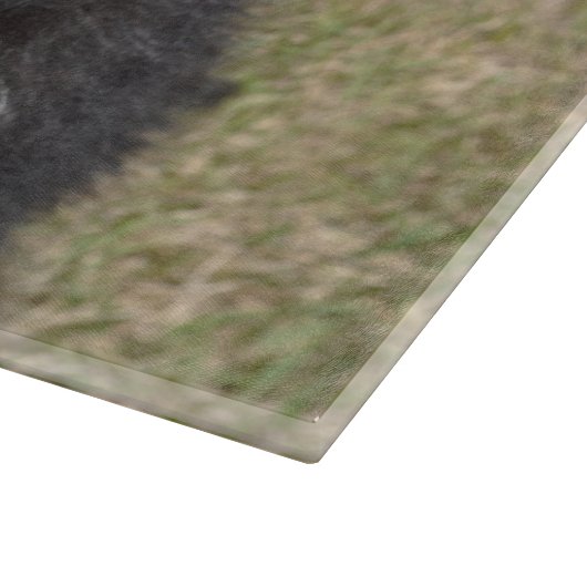 Rand collie snijplank (Hoek)