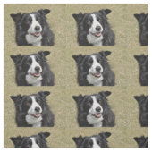 Rand collie stof (Swatch)