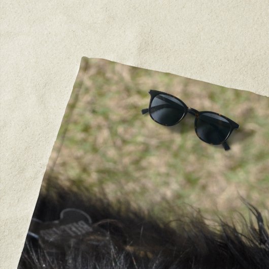 Rand collie strandlaken (In situ)