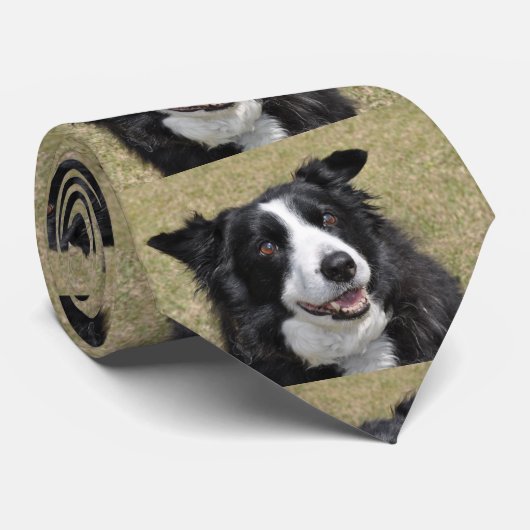 Rand collie stropdas (Opgerold)