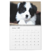 Rand Collies Calendar Kalender (Jan 2027)