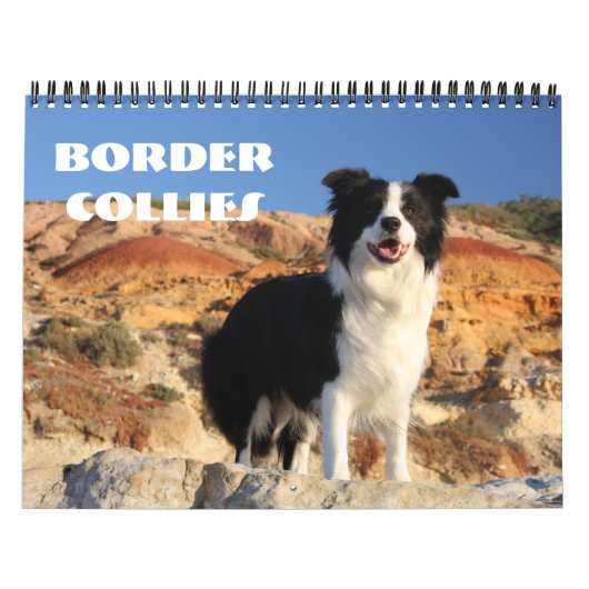 Rand Collies Calendar Kalender (Hoes)
