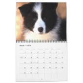 Rand Collies Calendar Kalender (Mar 2026)