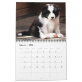 Rand Collies Calendar Kalender (Feb 2026)
