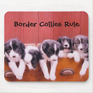 Rand Collies Rule Animal Mousepad Muismat