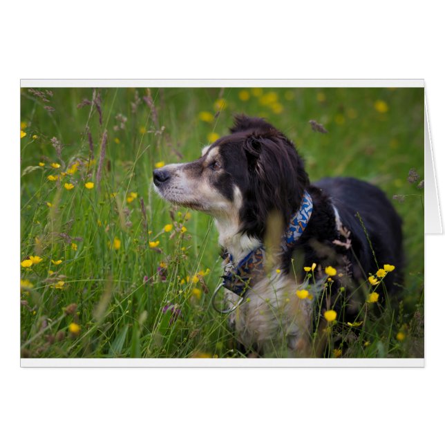 Rand in de botervaten (Voorkant Horizontaal)