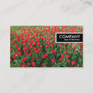 Rand Label - Bed of Red Tulips 01