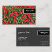 Rand Label - Bed of Red Tulips 02 (Voorkant / Achterkant)