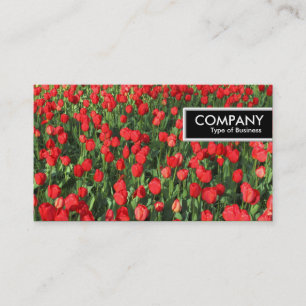 Rand Label - Bed of Red Tulips 02