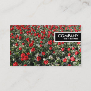 Rand Label - Rode Tulpen en primroses
