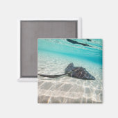 Rand Magneet (Voorkant / Achterkant)