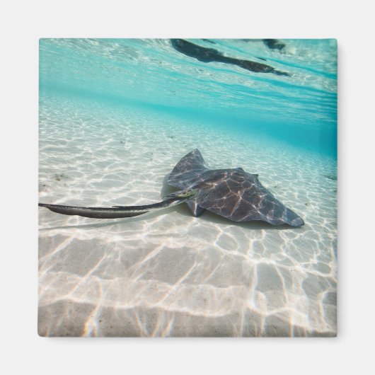 Rand Magneet (Voorkant)