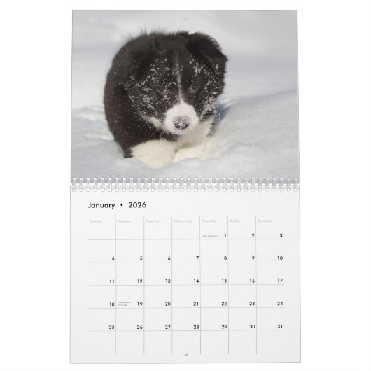 Rand Puppies wandkalender Kalender (Jan 2026)