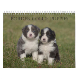Rand Puppies wandkalender Kalender