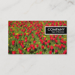 Rand Tag - Bed van Tulpen Visitekaartje
