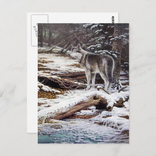 Rand van de Briefkaarten van de Nacht (Voorkant / Achterkant)