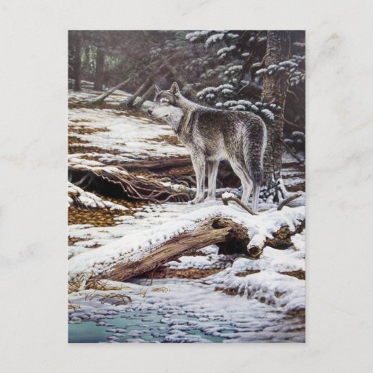 Rand van de Briefkaarten van de Nacht (Voorkant)