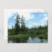 Rand van het bos briefkaart (Voorkant / Achterkant)