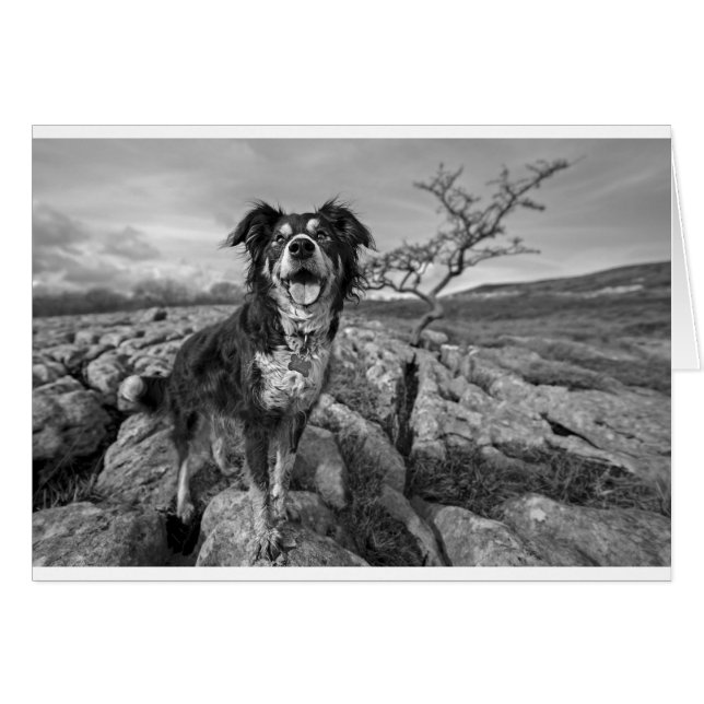 Rand voor uitkijkrichting (Voorkant Horizontaal)