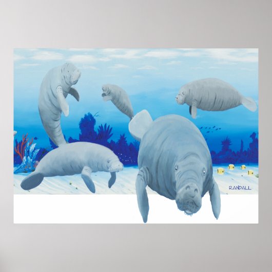 Randalls manatees poster (Voorkant)