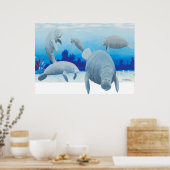 Randalls manatees poster (Keuken)