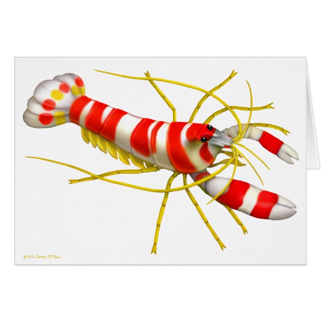 Randall's Pistol Shrimp Card (Voorkant Horizontaal)