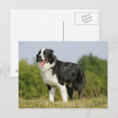 Randkoppeling voor het uitrusten briefkaart (Voorkant / Achterkant)