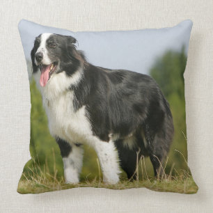 Randkoppeling voor het uitrusten kussen