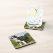 Randkoppeling voor het uitrusten onderzetter (Rechterzijde)