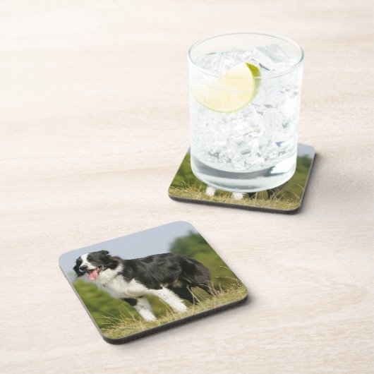 Randkoppeling voor het uitrusten onderzetter (Rechterzijde)