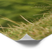 Randkoppeling voor het uitrusten poster (Hoek)