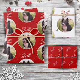 Randnaam Collie Dog Photo Trendy Script Pet Inpakpapier Vel