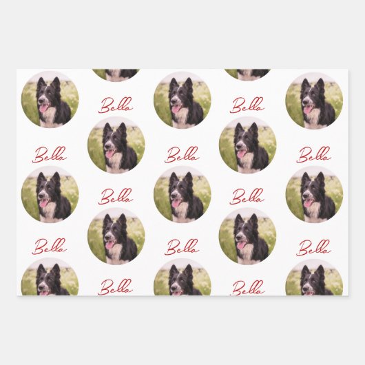 Randnaam Collie Dog Photo Trendy Script Pet Inpakpapier Vel (Voorkant 2)