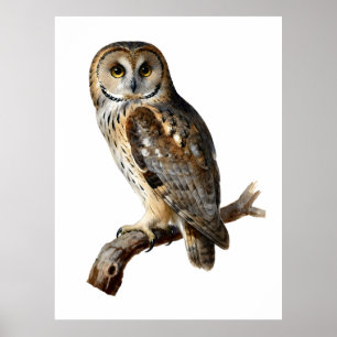 “Randolph” - Een Waakzame Stilte, Het Portret van Poster