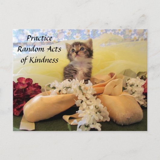 Random Act of Kindess Briefkaart - Ballerina Cat (Voorkant)