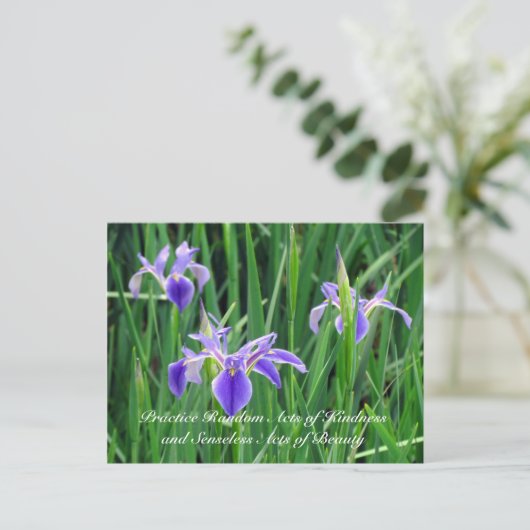 Random Act of Kindess Briefkaart - Paarse Iris (Staand voorkant)
