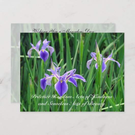 Random Act of Kindess Briefkaart - Paarse Iris (Voorkant / Achterkant)