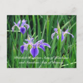 Random Act of Kindess Briefkaart - Paarse Iris (Voorkant)
