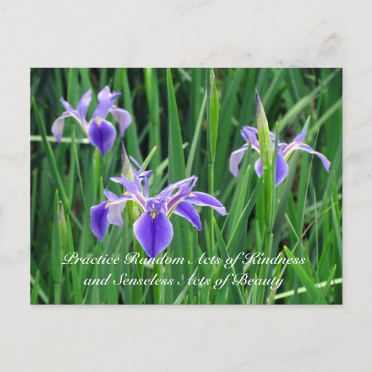 Random Act of Kindess Briefkaart - Paarse Iris (Voorkant)