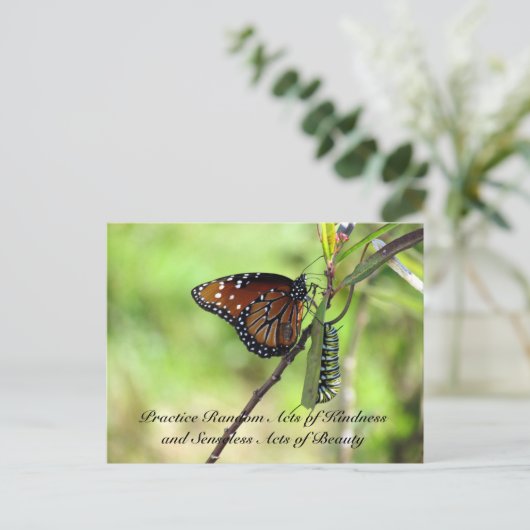 Random Act of Kindess Briefkaart - Queen Butterfly (Staand voorkant)