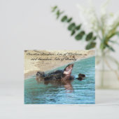 Random Act of Kindess Briefkaart - Soft Shell Turt (Staand voorkant)