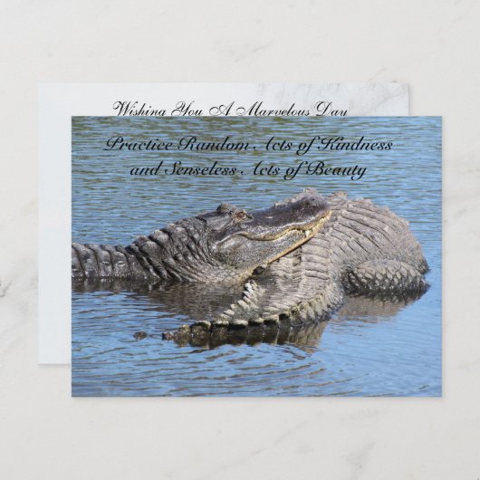 Random Acts of Kindness Briefkaart - Alligators (Voorkant / Achterkant)