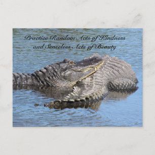 Random Acts of Kindness Briefkaart - Alligators